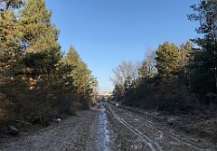 026_iP_200107_IMG_5794