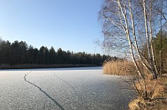 068_iP_200107_IMG_5798