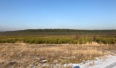 298_iP_200107_IMG_5825