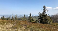 134_iP_200428_IMG_0040