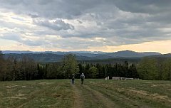 301_iP_200428_IMG_0076