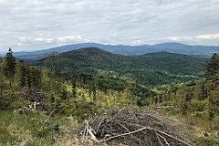 112_iP_200521_IMG_0091