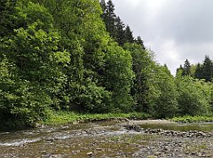 139_IMG_20200616_123721