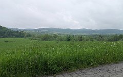 005_p20_IMG_20200617_101709