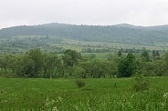 013_p20_IMG_20200617_101738