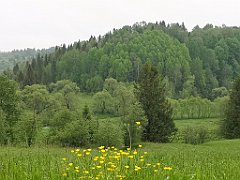 015_p20_IMG_20200617_101745