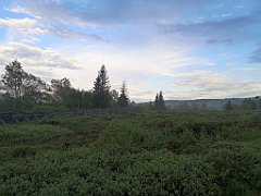 496_p20_IMG_20200617_193127