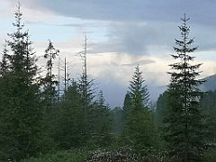 503_p20_IMG_20200617_193231