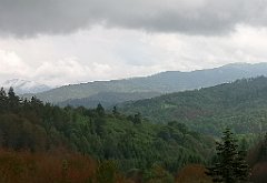 010_p20_IMG_20200618_133147