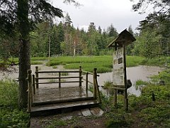 197_p20_IMG_20200618_154152