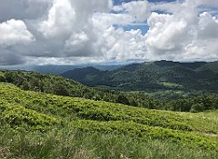 107_iP_200619_IMG_1231