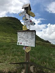 135_iP_200619_IMG_1246