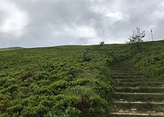 271_iP_200619_IMG_1298