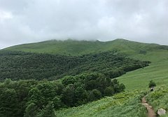 303_iP_200619_IMG_1309