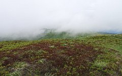 363_p20_IMG_20200619_151047