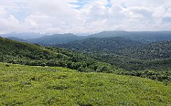 571_p20_IMG_20200619_161444