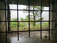 032_p20_IMG_20200620_100903