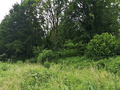 271_p20_IMG_20200620_133002