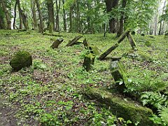 384_p20_IMG_20200620_140851