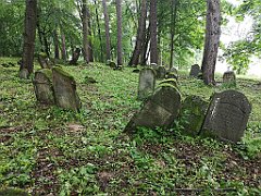 423_p20_IMG_20200620_141925