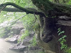 285_p20_IMG_20200621_134912