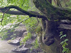 288_p20_IMG_20200621_134932