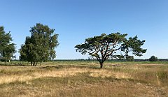 099_iP_200719_IMG_1503