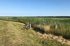 109_iP_200719_IMG_1509