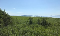 165_iP_200719_IMG_1532