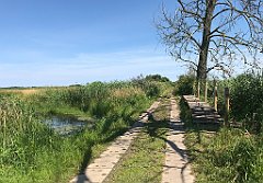 233_iP_200719_IMG_1554