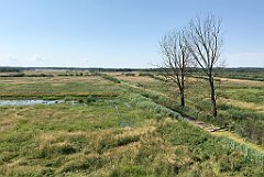 237_iP_200719_IMG_1560