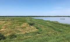 240_iP_200719_IMG_1563