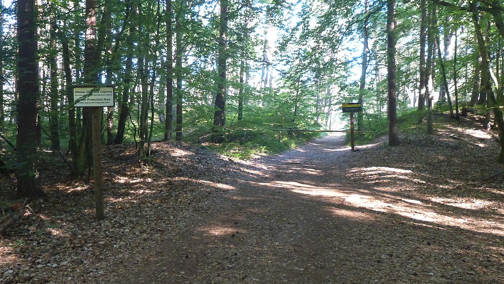 150_3D2_P1340423.JPG