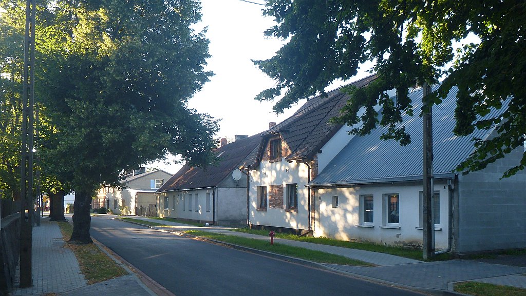 488_3D2_P1340554.JPG
