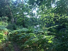 007_iP_200819_IMG_1709