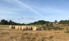 096_iP_200819_IMG_1725