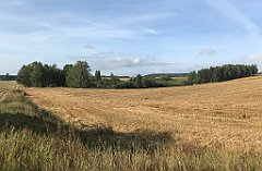 111_iP_200819_IMG_1731