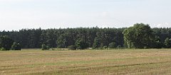 130_IMG_x57862