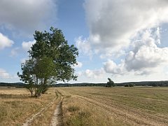 142_iP_200819_IMG_1747