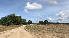 366_iP_200819_IMG_1828