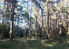 457_iP_200819_IMG_1848