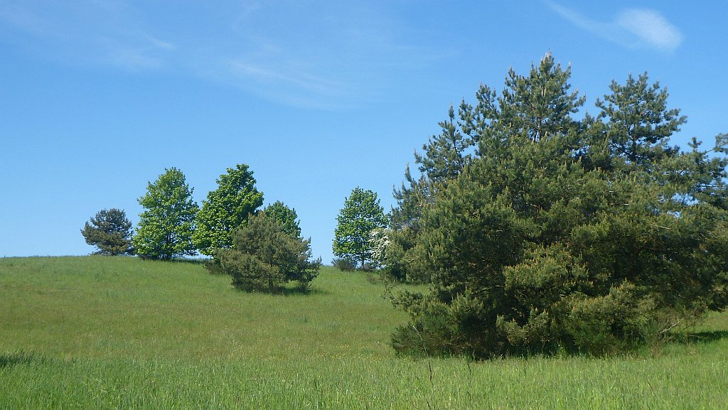 197_3D2_P1370213.JPG