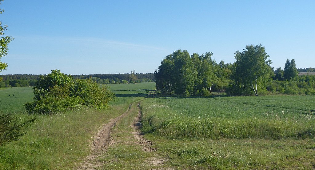 487_3D2_P1370364.JPG