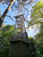 013_p20_IMG_20210530_082322