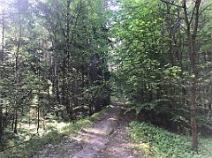 047_iP_210530_IMG_2372