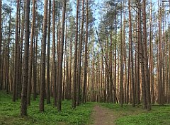 051_iP_210530_IMG_2376