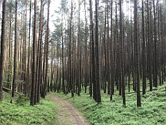 052_iP_210530_IMG_2377