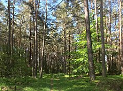 060_iP_210530_IMG_2385