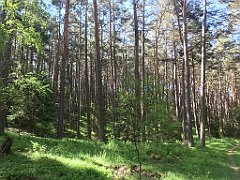 061_iP_210530_IMG_2387