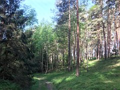 062_iP_210530_IMG_2389